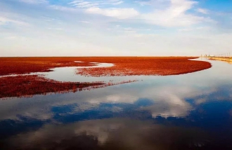 黄河口湿地红海滩、芦苇荡、泥潭捉蟹赠送大闸蟹二日游